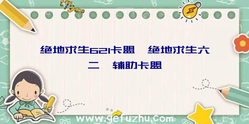 绝地求生621卡盟、绝地求生六二一辅助卡盟