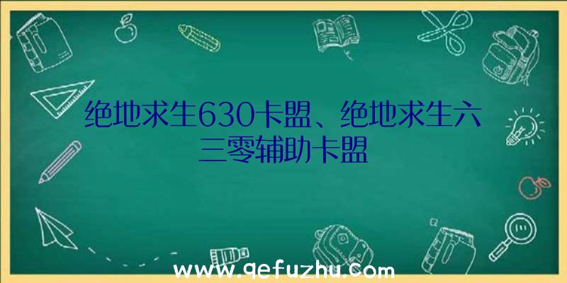 绝地求生630卡盟、绝地求生六三零辅助卡盟