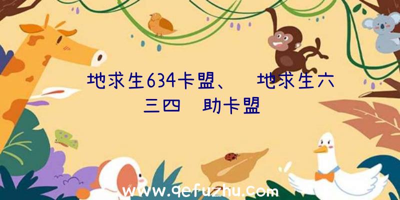 绝地求生634卡盟、绝地求生六三四辅助卡盟