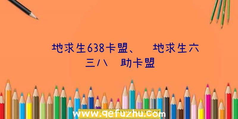 绝地求生638卡盟、绝地求生六三八辅助卡盟