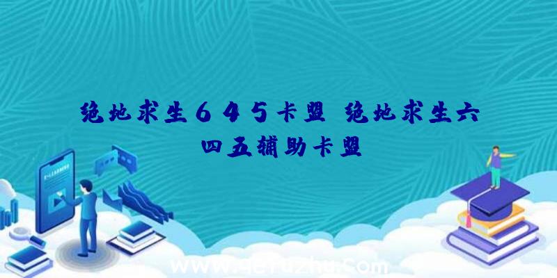 绝地求生645卡盟、绝地求生六四五辅助卡盟