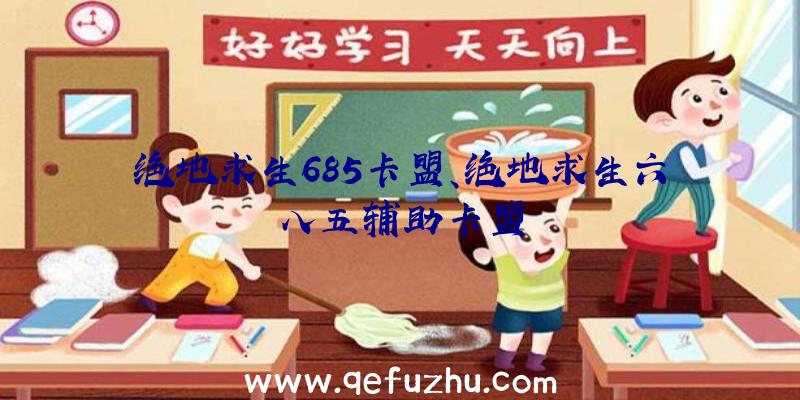 绝地求生685卡盟、绝地求生六八五辅助卡盟