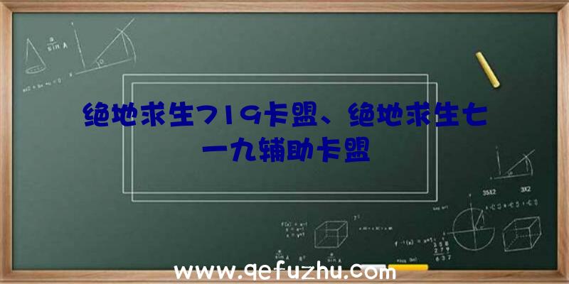 绝地求生719卡盟、绝地求生七一九辅助卡盟