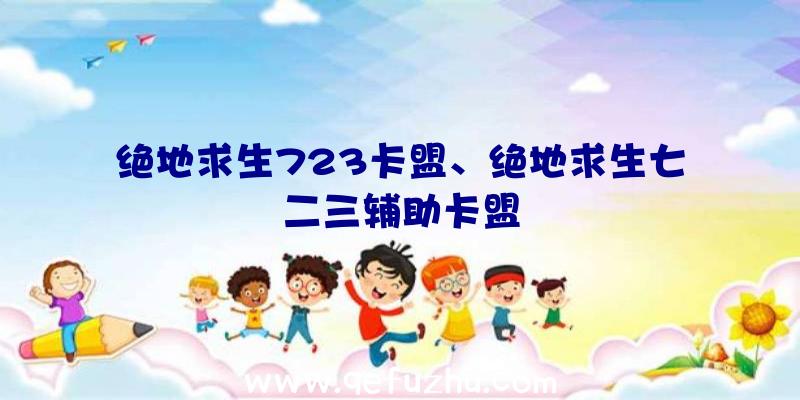 绝地求生723卡盟、绝地求生七二三辅助卡盟