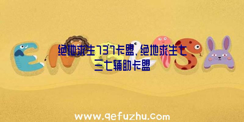 绝地求生737卡盟、绝地求生七三七辅助卡盟