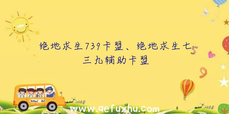 绝地求生739卡盟、绝地求生七三九辅助卡盟