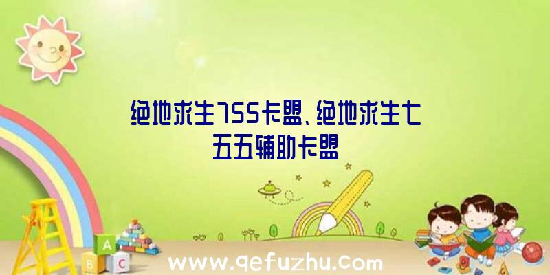 绝地求生755卡盟、绝地求生七五五辅助卡盟