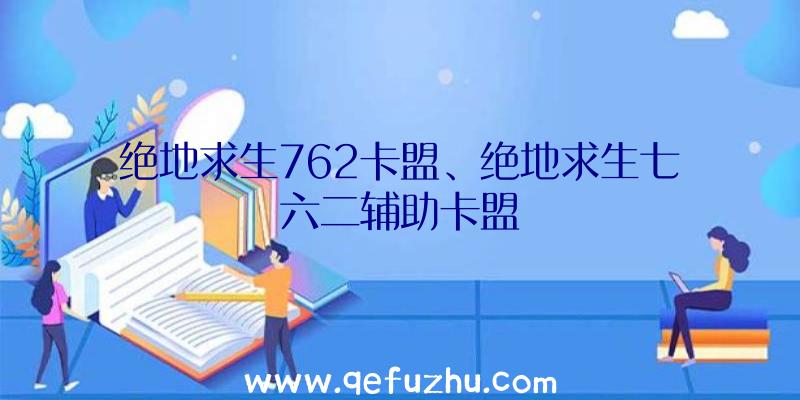 绝地求生762卡盟、绝地求生七六二辅助卡盟