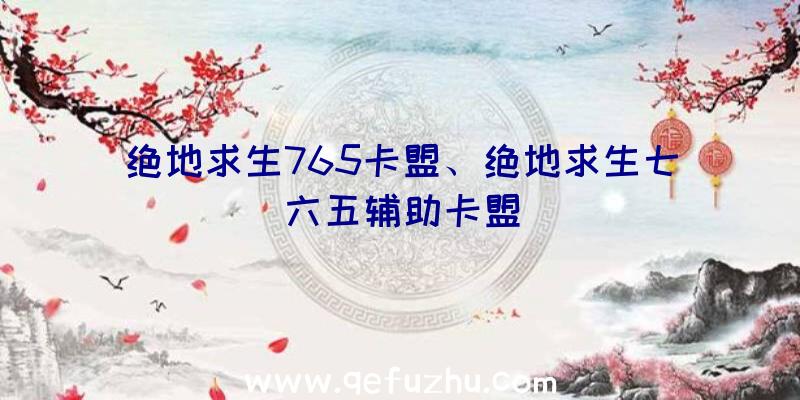 绝地求生765卡盟、绝地求生七六五辅助卡盟