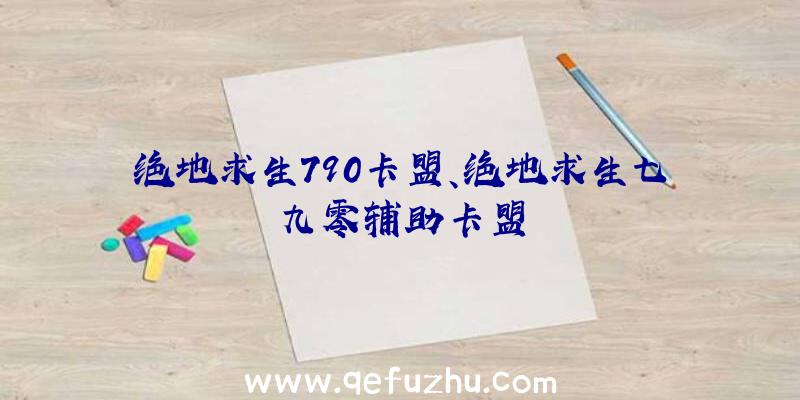 绝地求生790卡盟、绝地求生七九零辅助卡盟