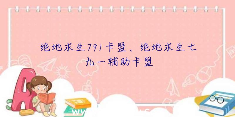 绝地求生791卡盟、绝地求生七九一辅助卡盟