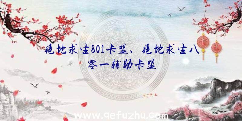 绝地求生801卡盟、绝地求生八零一辅助卡盟