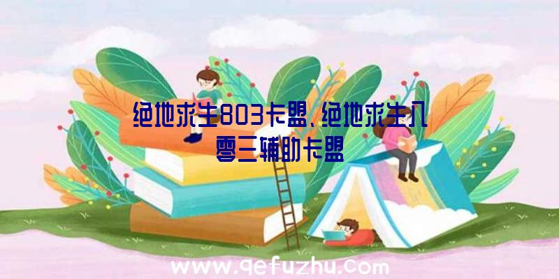 绝地求生803卡盟、绝地求生八零三辅助卡盟