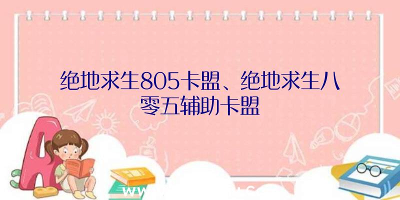 绝地求生805卡盟、绝地求生八零五辅助卡盟