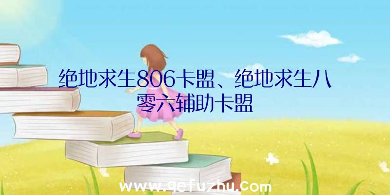 绝地求生806卡盟、绝地求生八零六辅助卡盟