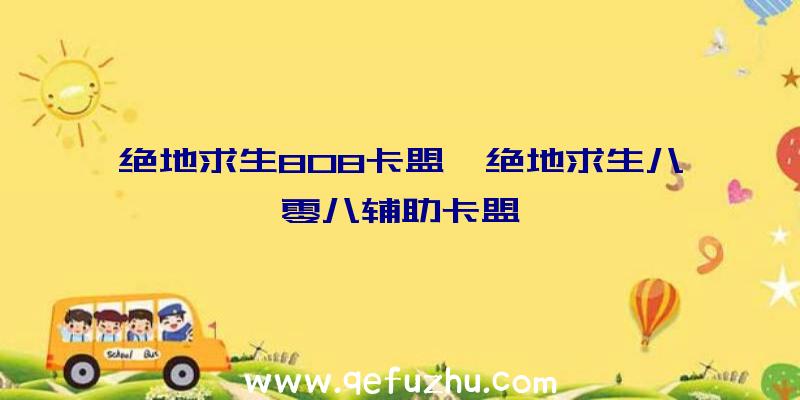 绝地求生808卡盟、绝地求生八零八辅助卡盟