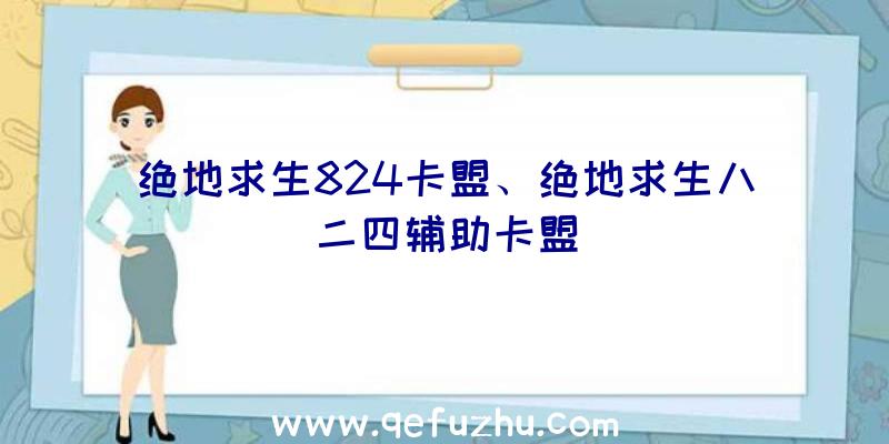 绝地求生824卡盟、绝地求生八二四辅助卡盟