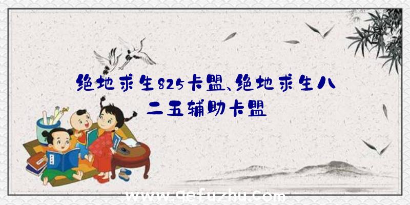 绝地求生825卡盟、绝地求生八二五辅助卡盟