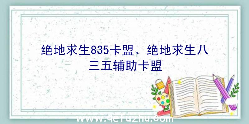 绝地求生835卡盟、绝地求生八三五辅助卡盟