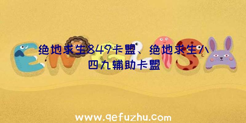 绝地求生849卡盟、绝地求生八四九辅助卡盟