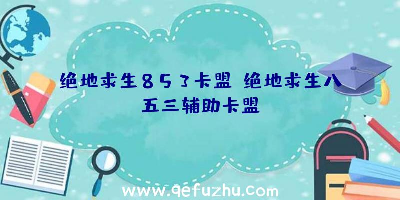 绝地求生853卡盟、绝地求生八五三辅助卡盟