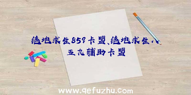 绝地求生859卡盟、绝地求生八五九辅助卡盟