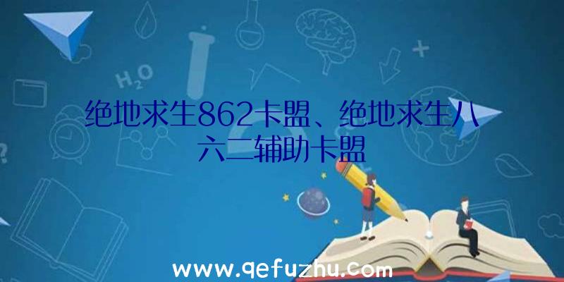 绝地求生862卡盟、绝地求生八六二辅助卡盟