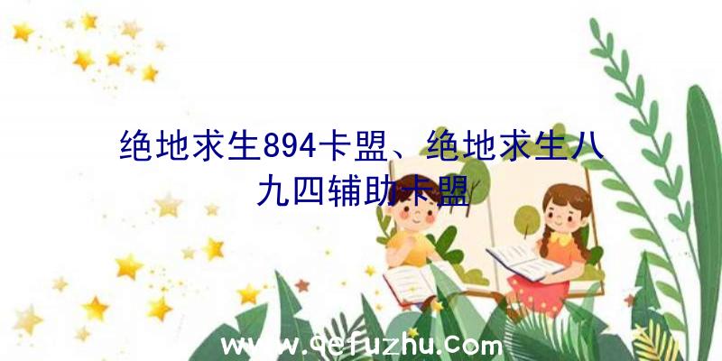 绝地求生894卡盟、绝地求生八九四辅助卡盟