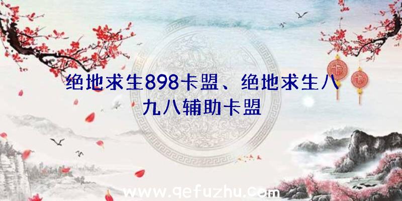 绝地求生898卡盟、绝地求生八九八辅助卡盟