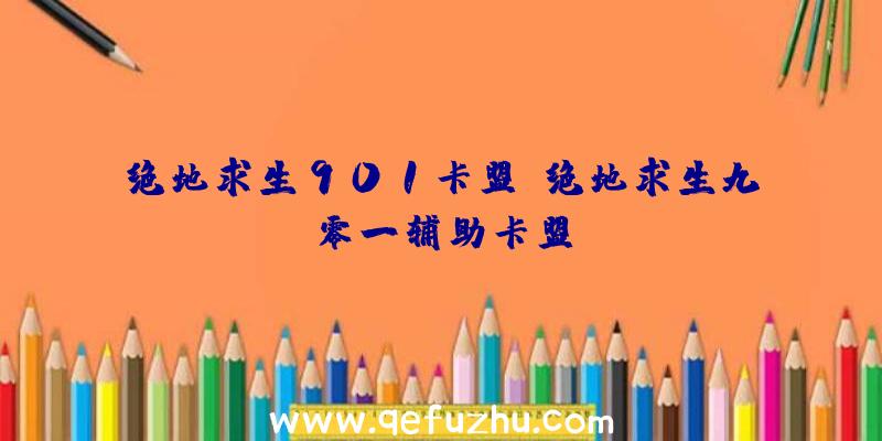 绝地求生901卡盟、绝地求生九零一辅助卡盟