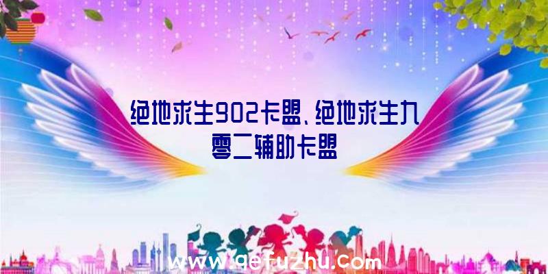 绝地求生902卡盟、绝地求生九零二辅助卡盟