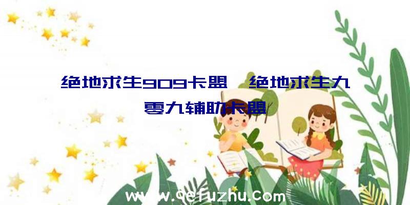 绝地求生909卡盟、绝地求生九零九辅助卡盟