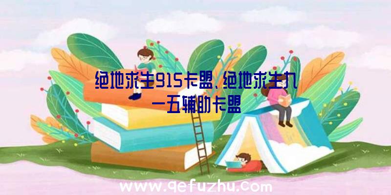 绝地求生915卡盟、绝地求生九一五辅助卡盟