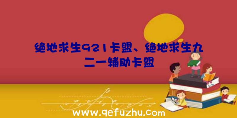 绝地求生921卡盟、绝地求生九二一辅助卡盟