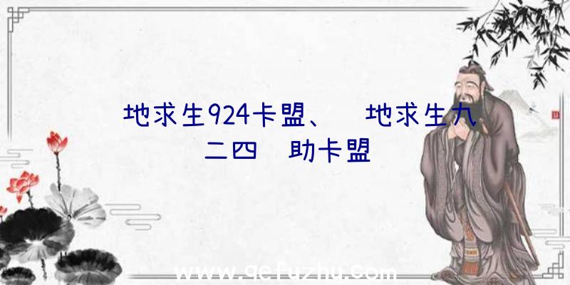 绝地求生924卡盟、绝地求生九二四辅助卡盟