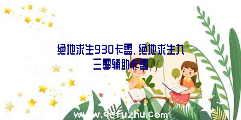 绝地求生930卡盟、绝地求生九三零辅助卡盟