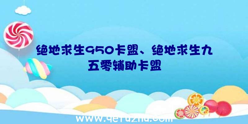 绝地求生950卡盟、绝地求生九五零辅助卡盟