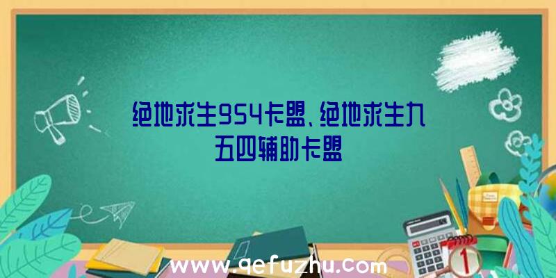 绝地求生954卡盟、绝地求生九五四辅助卡盟