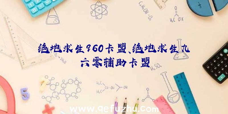 绝地求生960卡盟、绝地求生九六零辅助卡盟