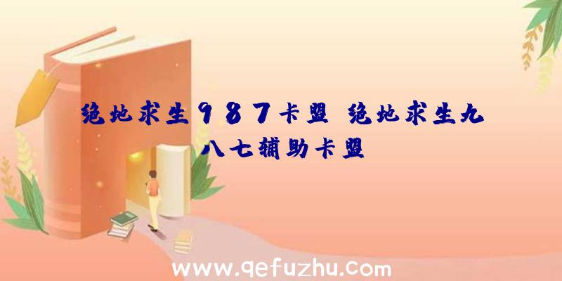 绝地求生987卡盟、绝地求生九八七辅助卡盟