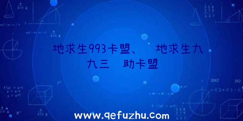 绝地求生993卡盟、绝地求生九九三辅助卡盟