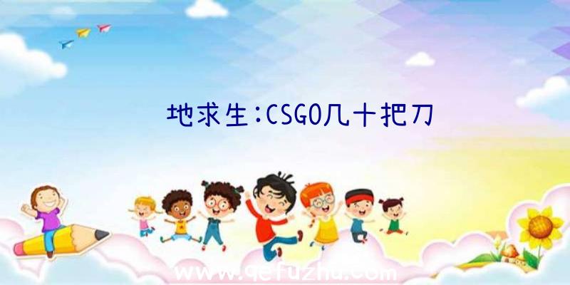 绝地求生:CSGO几十把刀