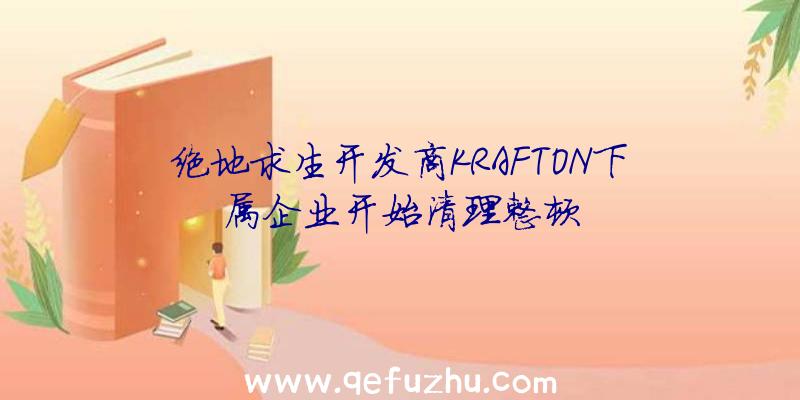 绝地求生开发商KRAFTON下属企业开始清理整顿