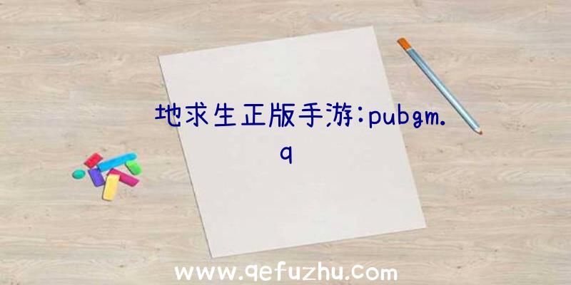 绝地求生正版手游:pubgm.q