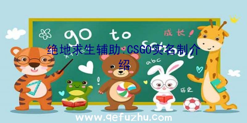 绝地求生辅助:CSGO实名制介绍