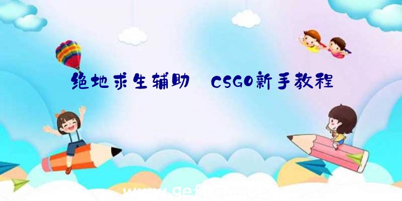 绝地求生辅助:CSGO新手教程