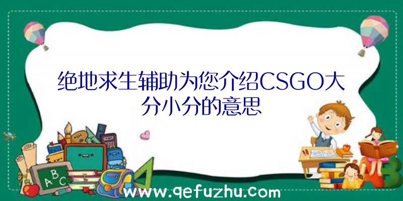 绝地求生辅助为您介绍CSGO大分小分的意思