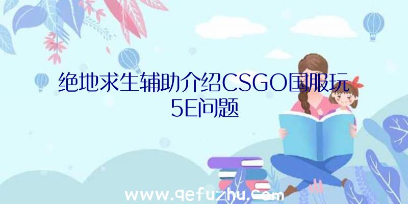 绝地求生辅助介绍CSGO国服玩5E问题