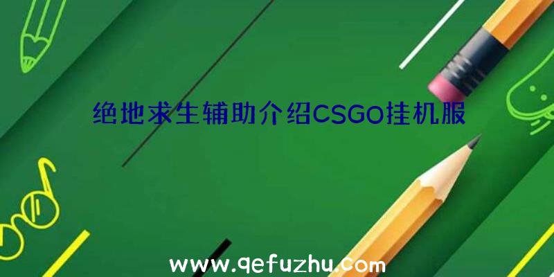 绝地求生辅助介绍CSGO挂机服