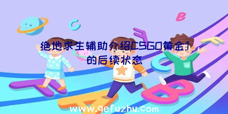 绝地求生辅助介绍CSGO黄金1的后续状态